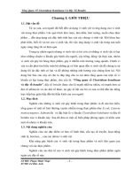 Luận văn công nghệ sinh học Tổng quan về clostridium botulinum và độc tố botulin