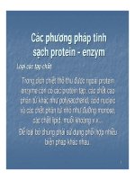 Bài giảng công nghệ protein – enzyme chương 3