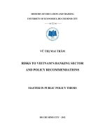 Các rủi ro của hệ thống ngân hàng việt nam và một số gợi ý chính sách