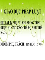 Thuyet trinh tin hoc