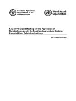 FAO WHO Expert Meeting on the Application of Nanotechnologies in the Food and Agriculture Sectors Potential Food Safety Implications