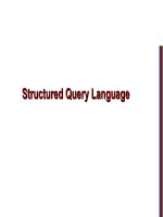 Structured Query Language