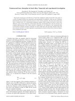 femtosecond laser absorption in fused silica numerical and experimental investigation