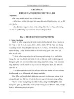 Tài liệu đào tạo nghề Kỹ thuật nuôi và trị bệnh cho bò: Phần II