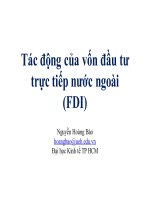 tác động của vốn đầu tư trực tiếp nước ngoài