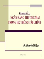 Chuyên đề 3 ngân hàng thương mại trong hệ thống tài chính   dr  nguyễn thị lan
