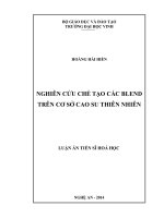 Nghiên cứu chế tạo các blend trên cơ sở cao su thiên nhiên