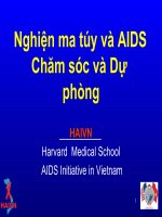 nghiện ma túy và aids chăm sóc và dự phòng