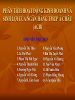 phân tích hoạt động kinh doanh và sinh lợi của ngân hàng tmcp á châu