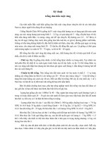 Kỹ thuật trồng dưa hấu ruột vàng