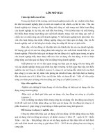 một số biện pháp nâng cao hiệu quả sử dụng vốn lưu động tại công ty cổ phần lisemco 2