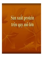 bài giảng công nghệ protein enzyme chương 11 sản xuất protein trên quy mô lớn