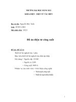 thiết kế bộ nghịch lưu 1 pha điện áp thấp