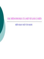 ĐẶC ĐIỂM SINH HỌC CỦA MỘT SỐ LOÀI CÁ BIỂN