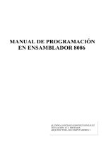 manual de lenguaje ensamblador