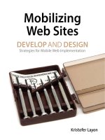 mobilizing web sites [electronic resource] develop and design
