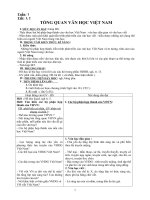 GIÁO ÁN NGỮ VĂN LỚP 10