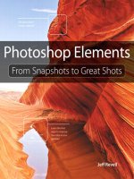 photoshop elements from snapshots to great shots