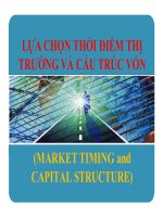 tiểu luận lựa chọn thời điểm thị trường và cấu trúc vốn