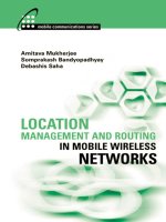location managementand routingin mobile wireless networks