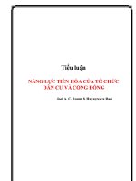 tiểu luận năng lực tiến hóa của tổ chức dân cư và cộng đồng