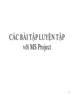 Bài tập củng cố MS PROJECT
