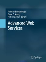 advanced web services