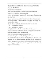 Phân tích tình hình tài chính của công ty CP nông sản bắc ninh