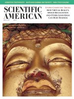scientific american   -  1997 07  -  an endangered buddha contemplates oblivion