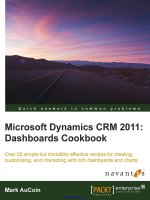 microsoft  dynamics  crm  2011