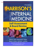 Nguyen tac noi khoa harrison 17th  phan tu luong gia sach dich