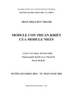 module con thuần khiết của module nhân