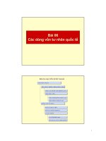 bài giảng tài chính phát triển bài 06 - các dòng vốn tư nhân quốc tế