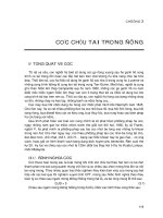 CỌC CHỊU TẢI TRỌNG ĐỨNG