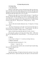 Kỹ thuật trồng hoa loa kèn