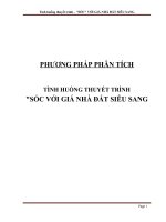 Phương pháp phân tích thuyết trình tình huống sốc với giá nhà đất siêu sang