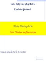 bài thuyết trình chiến lược sản phẩm của apple