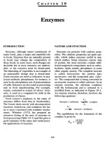 Enzymes - Principle of food chemistry