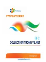 bài 3 collection trong vb.net