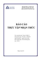 Báo cáo thực tập nhận thức tại công ty cổ phần 32