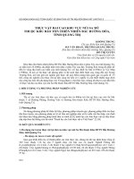 Thực vật đai cao khu vực núi Sa mù khu bảo tồn thiên nhiên Bắc Hướng Hóa tỉnh Quảng Trị