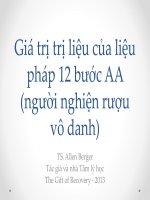 Bài giảng giá trị trị liệu của liệu pháp 12 bước AA (người nghiện rượu vô danh)   TS  allen berger