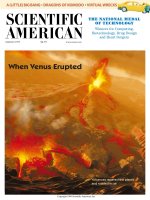 scientific american   -  1999 03  -  when venus erupted