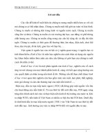 tình hình đầu tư trực tiếp nước ngoài ( fdi ) vào việt nam từ sau thời kỳ đổi mới đến nay