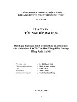 đánh giá hiệu quả kinh doanh thức ăn chăn nuôi của chi nhánh tacn con heo vàng-tiên dương-đông anh-hà nội