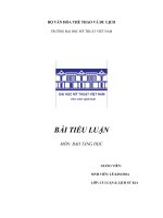 Tiểu luận Môn Bảo Tàng Học về cạp váy mường