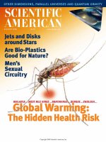 scientific american   -  2000 08  -  global warming  -  the hidden health risk