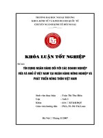 Khóa luận tốt nghiệp: Tín dụng ngân hàng đối với các doanh nghiệp vừa và nhỏ ở Việt Nam tại Ngân hàng nông nghiệp và phát triển nông thôn