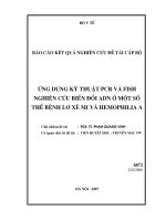 Nghiên cứu xây dựng panel hồng cầu tại viện huyết học truyền máu trung ương nhằm nâng cao chất lượng an toàn truyền máu về mặt miễn dịch