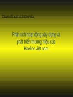 phân tích hoạt động xây dựng phát triển thương hiệu của Beeline Việt Nam